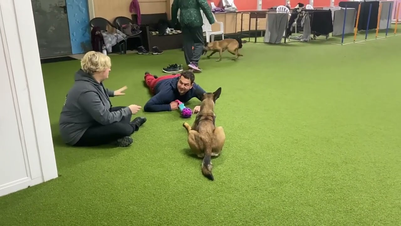 Play with Madness family agility training, Germany 2022