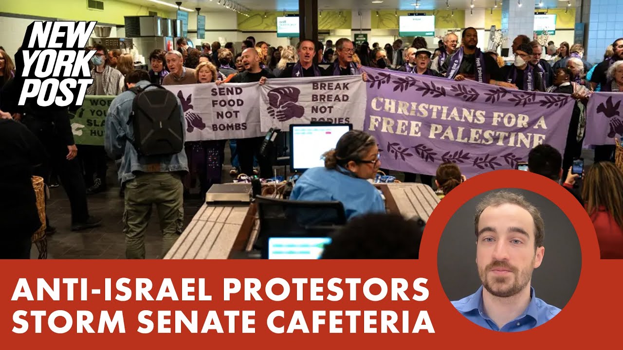 Dozens of anti-Israel protesters arrested after storming cafeteria in Senate office building: cops
