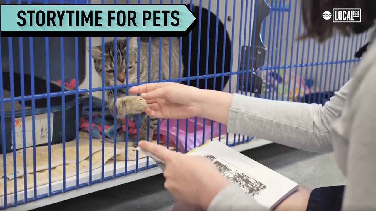 Kids Read to Shelter Animals! | Localish