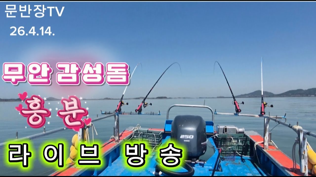 문반장TV 감성돔 라이브 방송 26.4.14.(화)