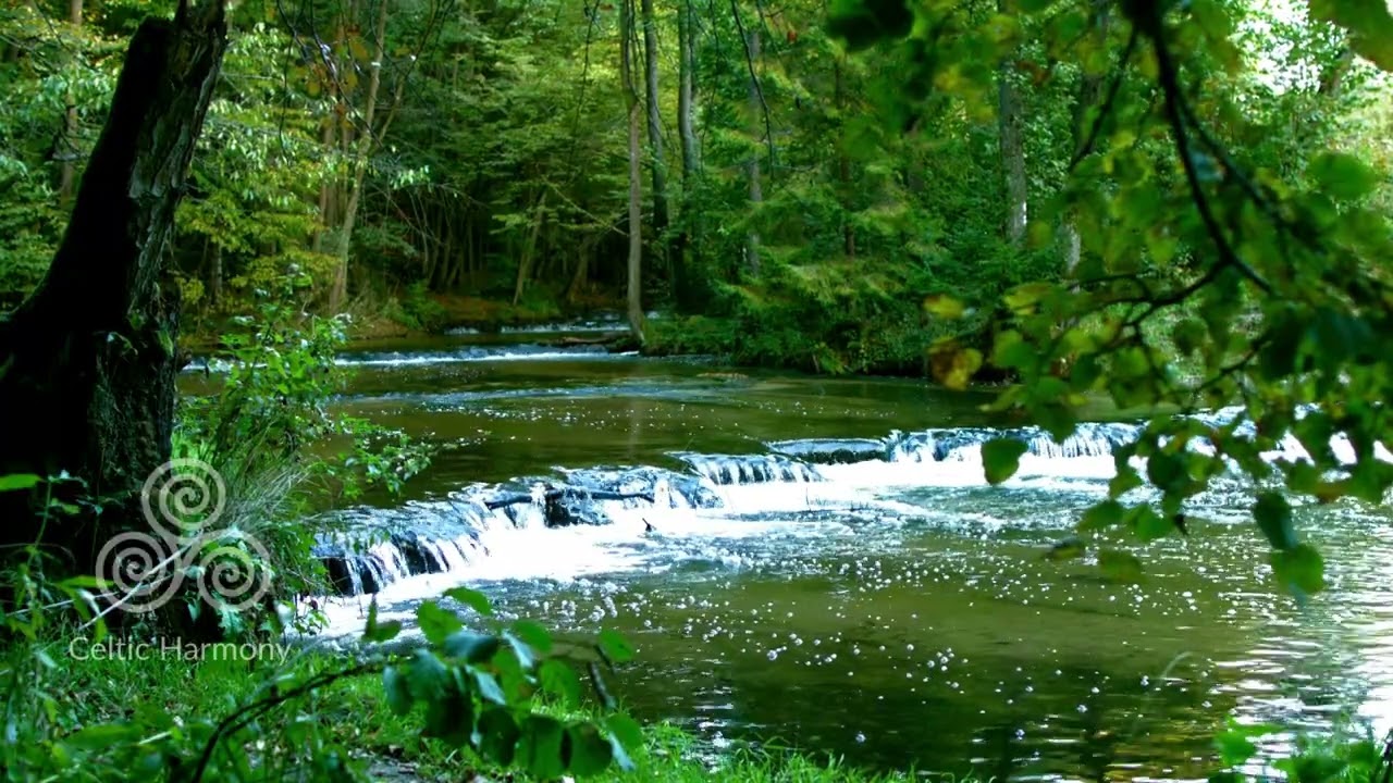 Peaceful Irish Forest Stream | Relaxing Nature Sounds & Calm Music