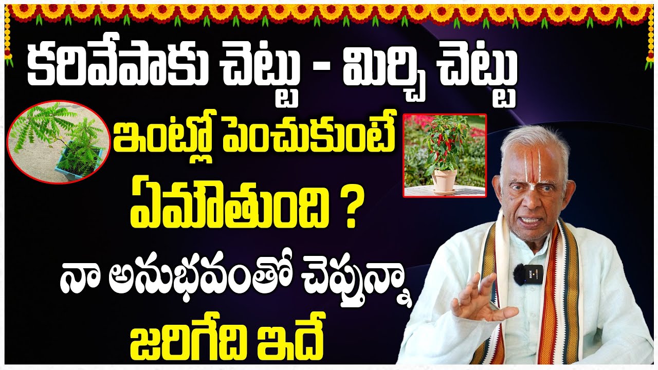 కరివేపాకు చెట్టు మీఇంట్లో ఉంటే వెంటనే ఇలా చేయండి! Karivepaku Chettu Lucky or Unlucky | TKV Raghavan