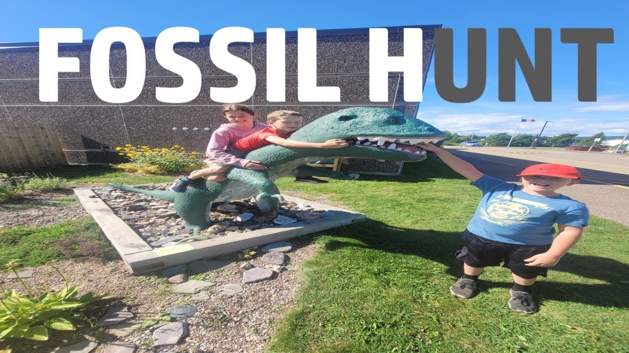 Fossil hunting in Parrsboro, NS where they have 50ft tides!!!