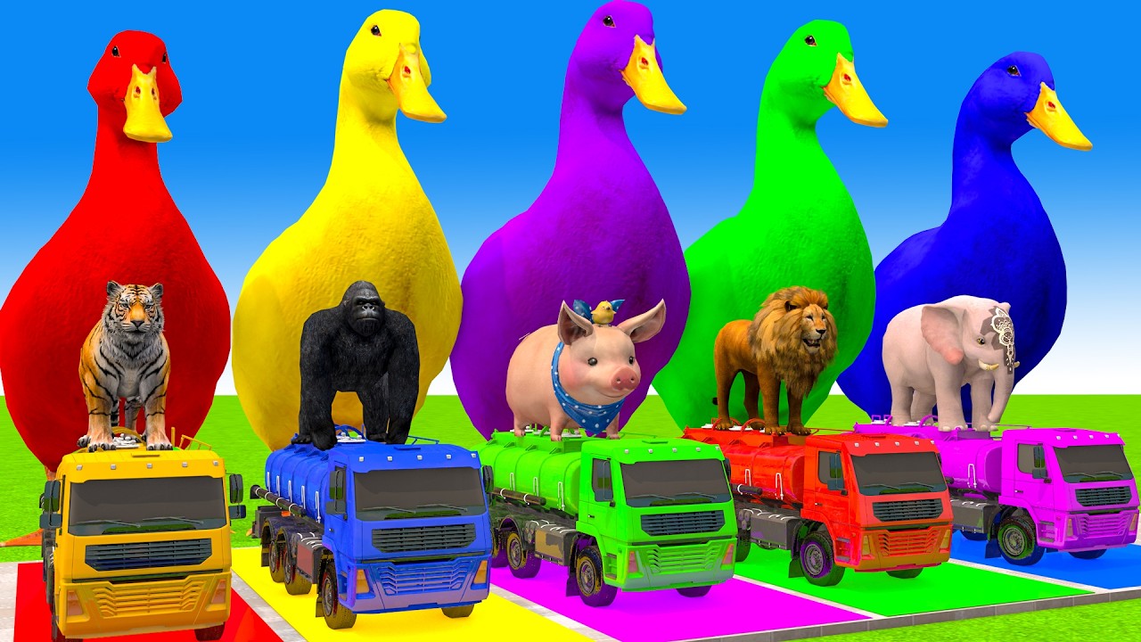 Long Slide Game With Cow Elephant Gorilla Hippopotamus Tiger 3d Animal Game Funny 3d Animals
