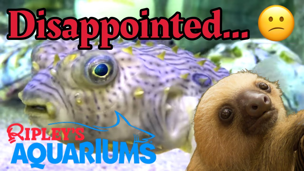 Ripley&rsquo;s Aquarium is NOT Worth the Price&hellip; at least not now - Myrtle Beach