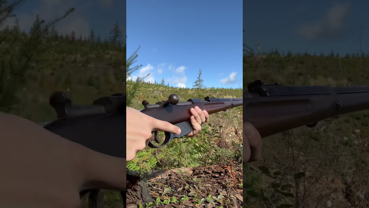 Testing more of my 8x50r reloads out of my M95 Cavalry Carbine ! #battlefield