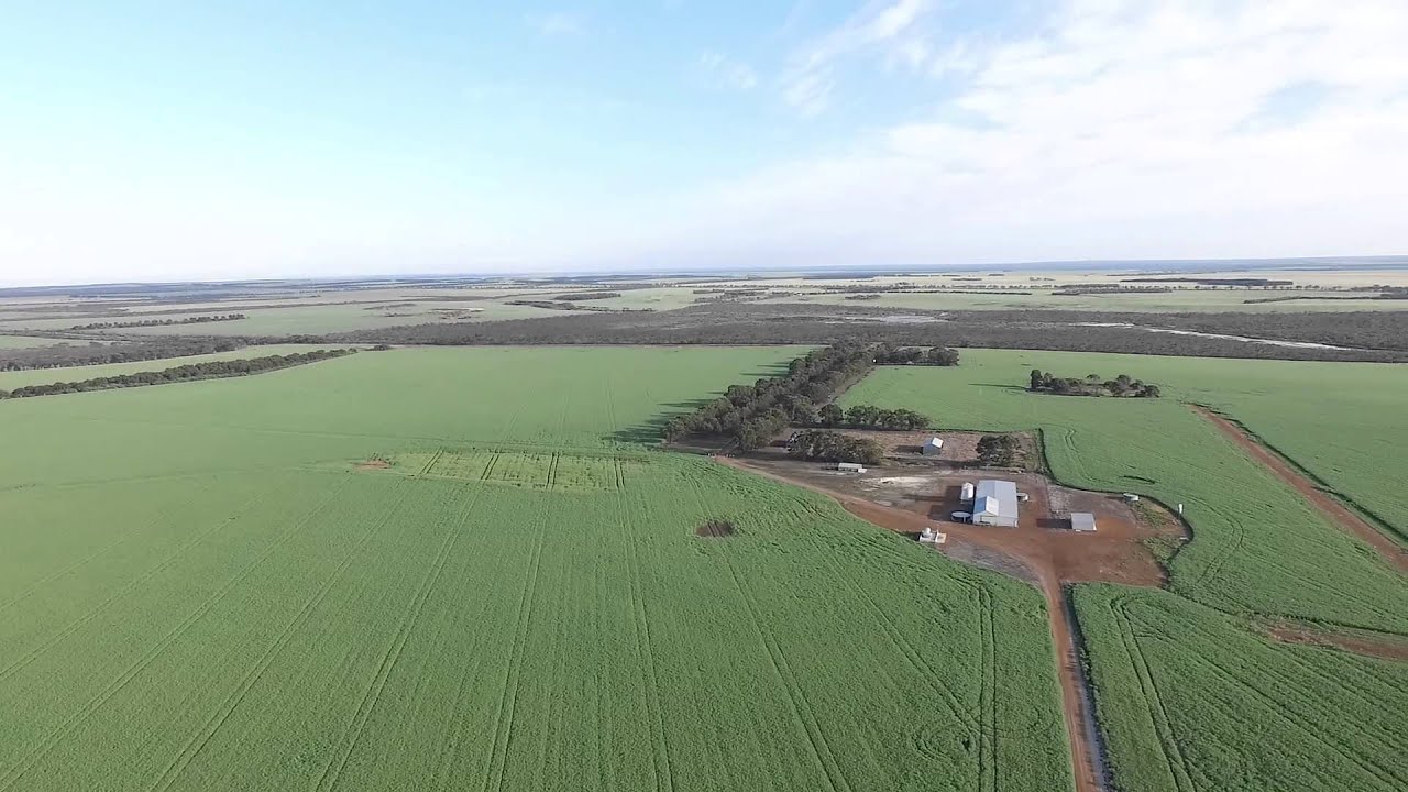Munglinup Crop Tour