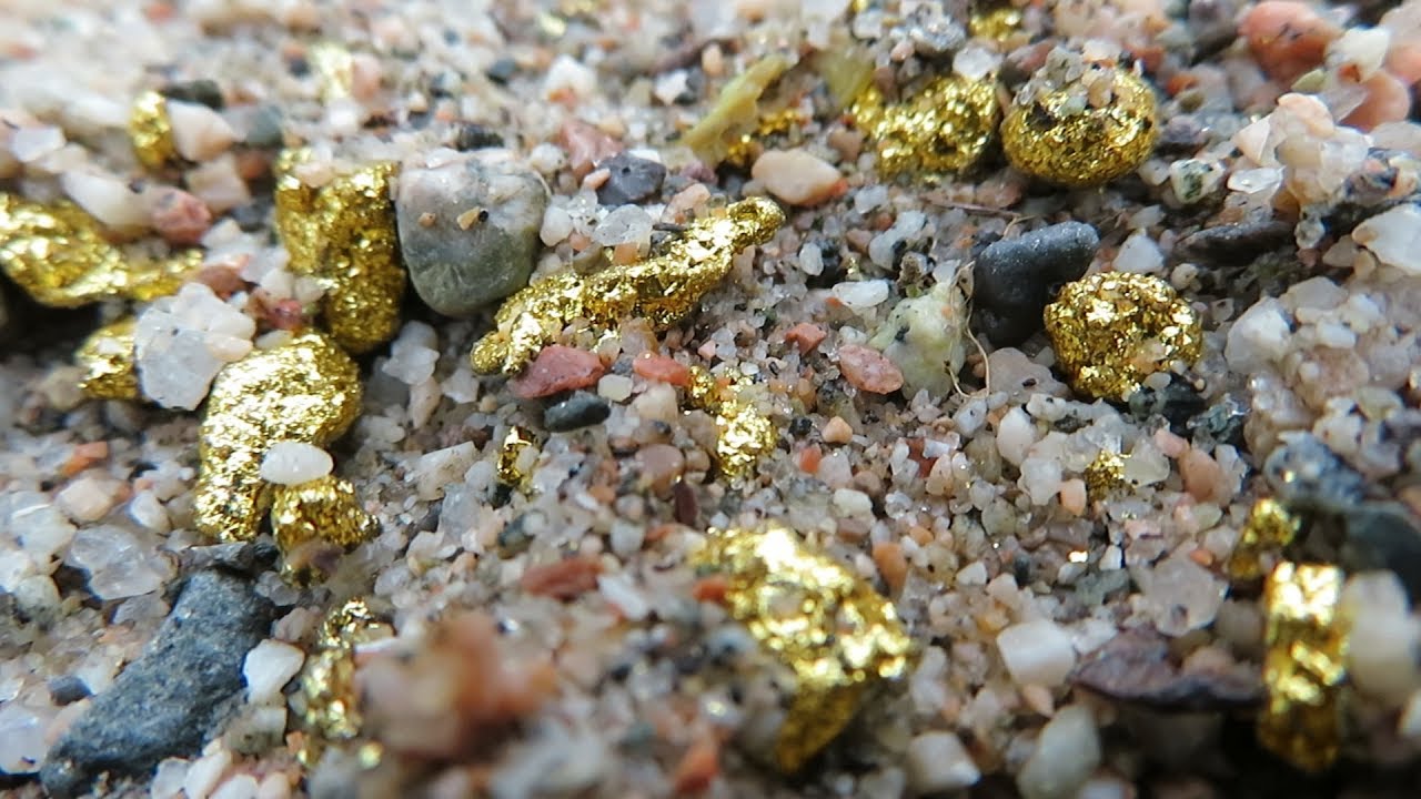 A lot of gold in the sand! People, there is a lot of it, here under our feet...