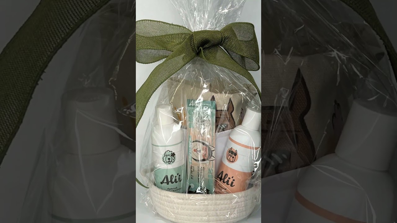 Irasshai 2023 Silent Auction Now Live