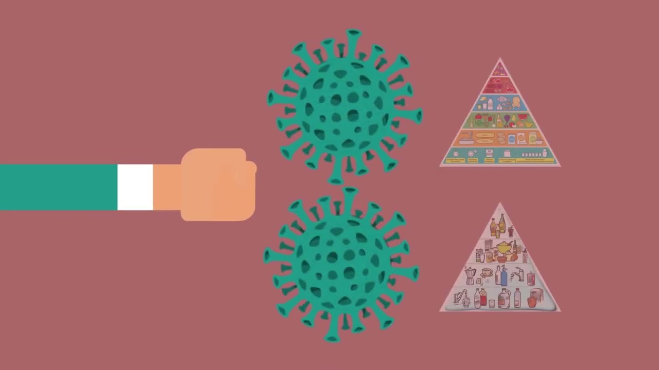 2. Mecanismo de infección del virus