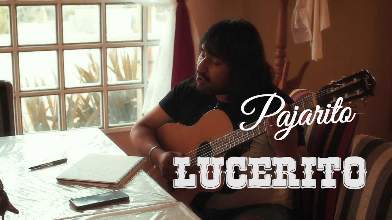 PAJARITO - LUCERITO