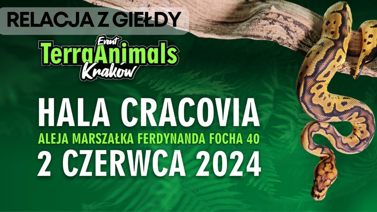 Giełda Terra Animals w Krakowie (02.06.2024) - hala Cracovia