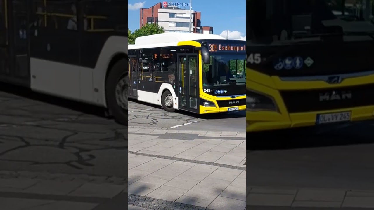 Buskurzvideo #10 | MAN New Lions City 12G | Wg. 245 | 309 Eschenplatz | 23.06.2023 | 