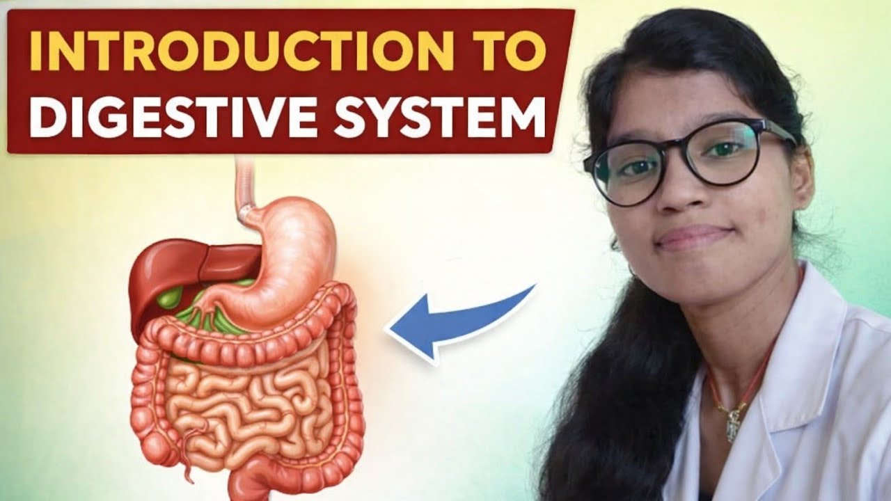 Digestive System Explained in Easy Way | Human Digestive System Anatomy & Functi..