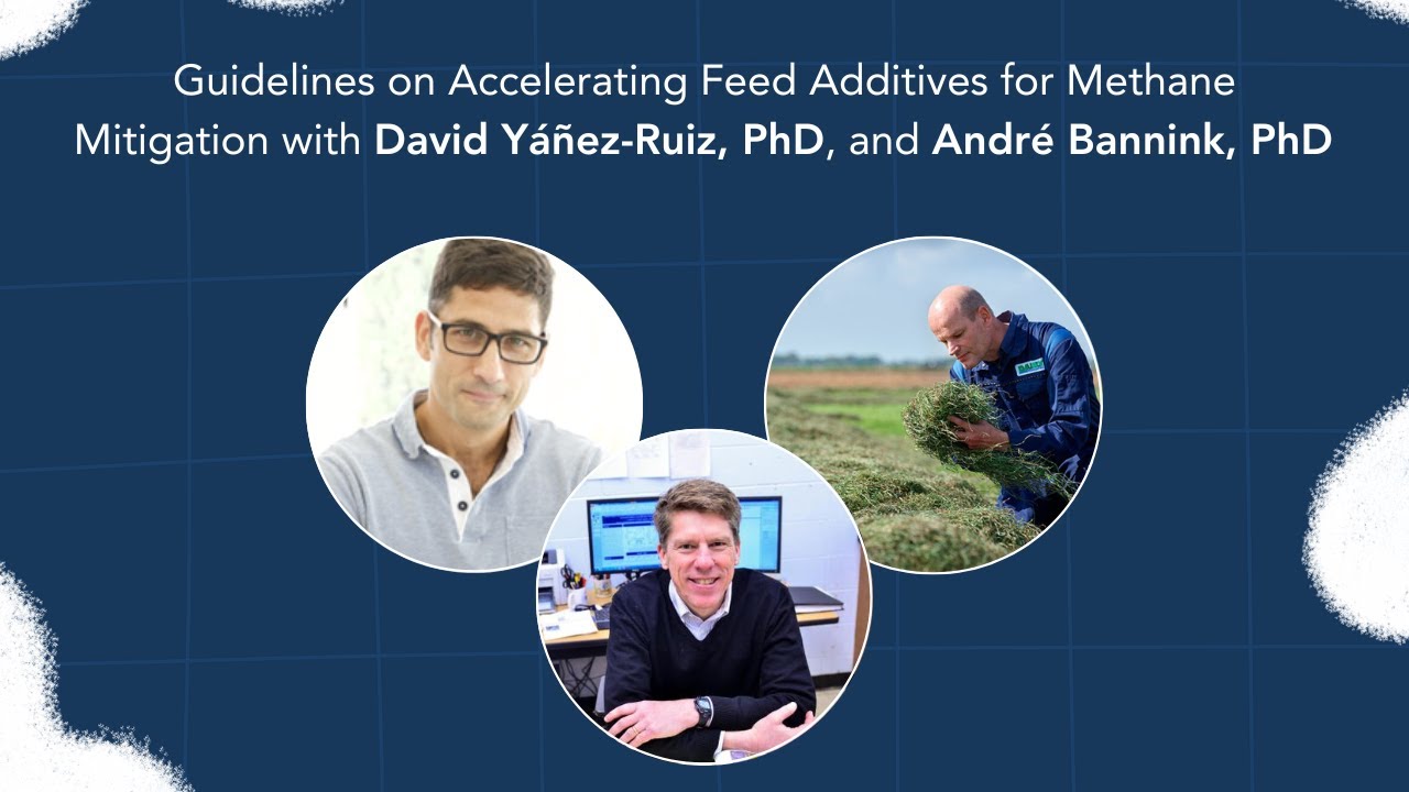 Dairy Digressions S3, E23 | Guidelines on Accelerating Feed Additives for Methane Mitigation