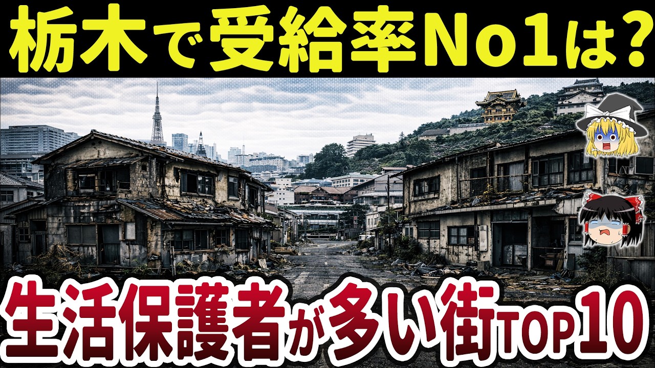 【貧富の差がヤバすぎる】栃木県の生活保護受給率が高い街ランキングTOP10【日本地理】【ゆっくり解説】