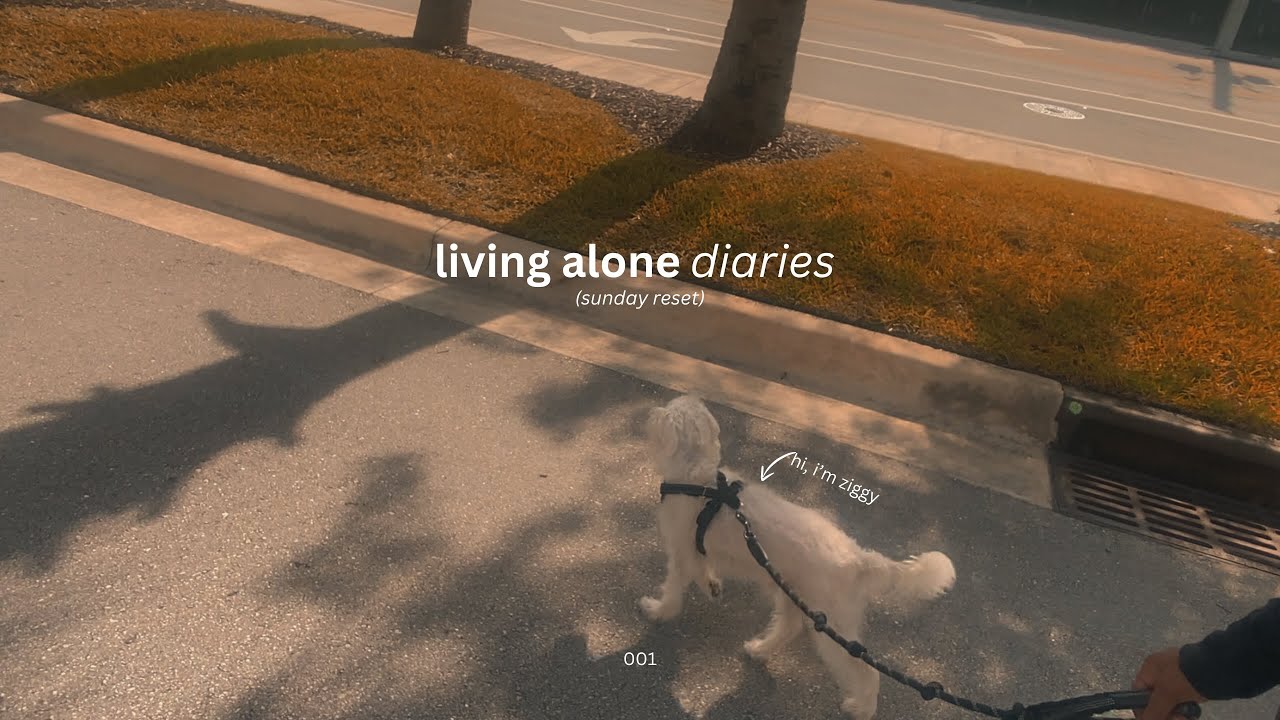 living alone diaries: my calm and relaxing sunday reset routine.