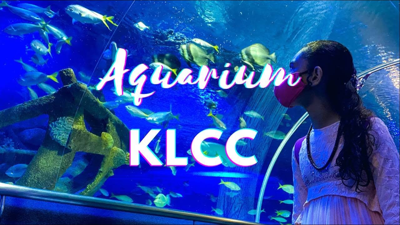 Aquaria KLCC || The biggest aquarium in Malaysia