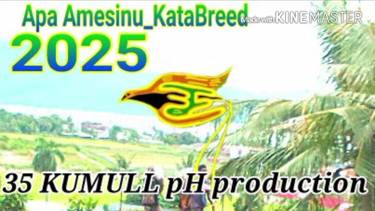 Apa Amesinu_Katabreed_-_2025 [35 KUMULL ph prodz]