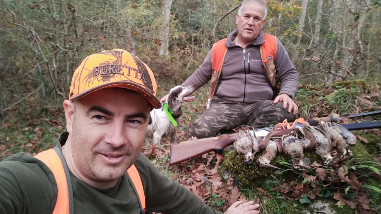 &Ccedil;ulluk Avı 🍁2024 Woodcock Hunting🍁 Ercan Pointer Setter Beccaccia T&Uuml;RKİYE