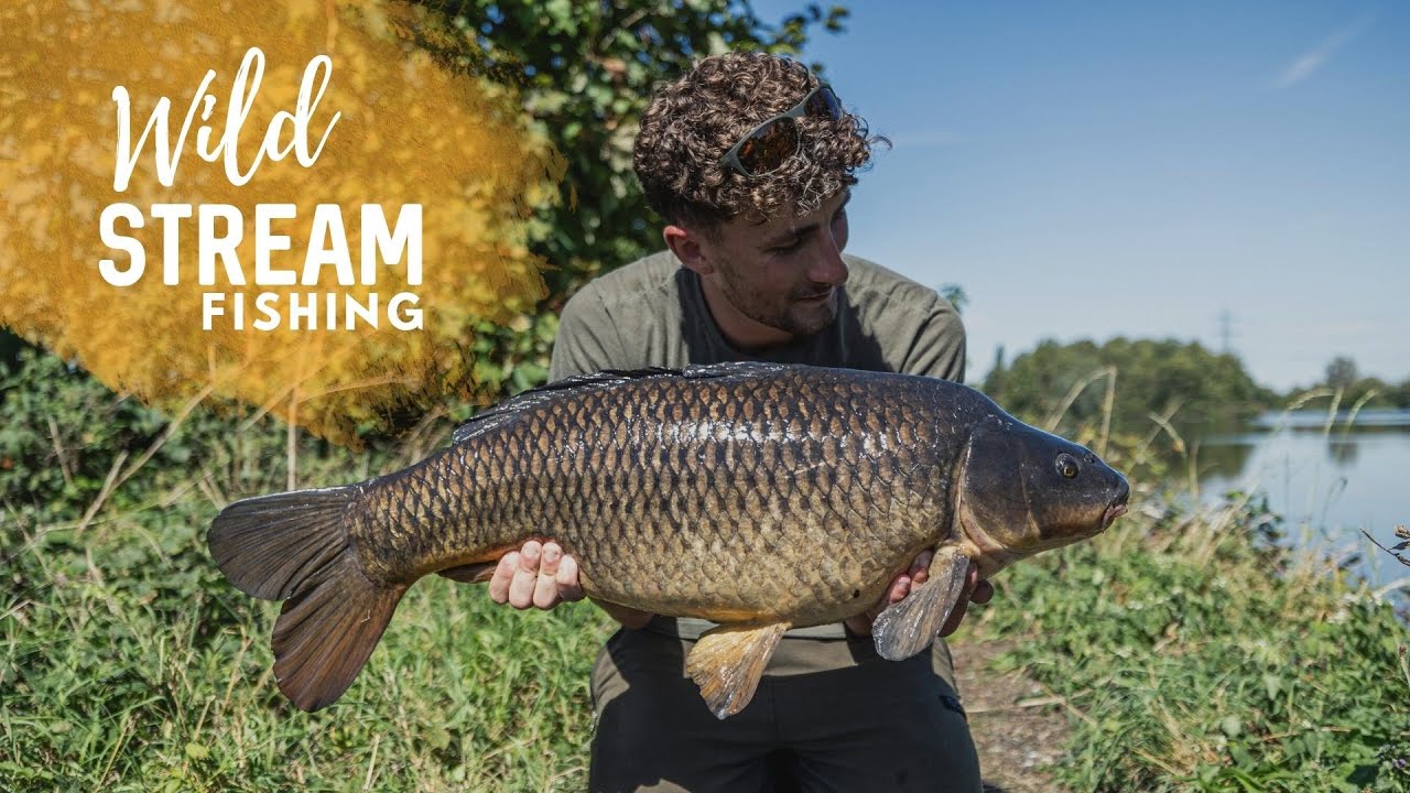 Wild Stream Fishing, Coppermill | Extract