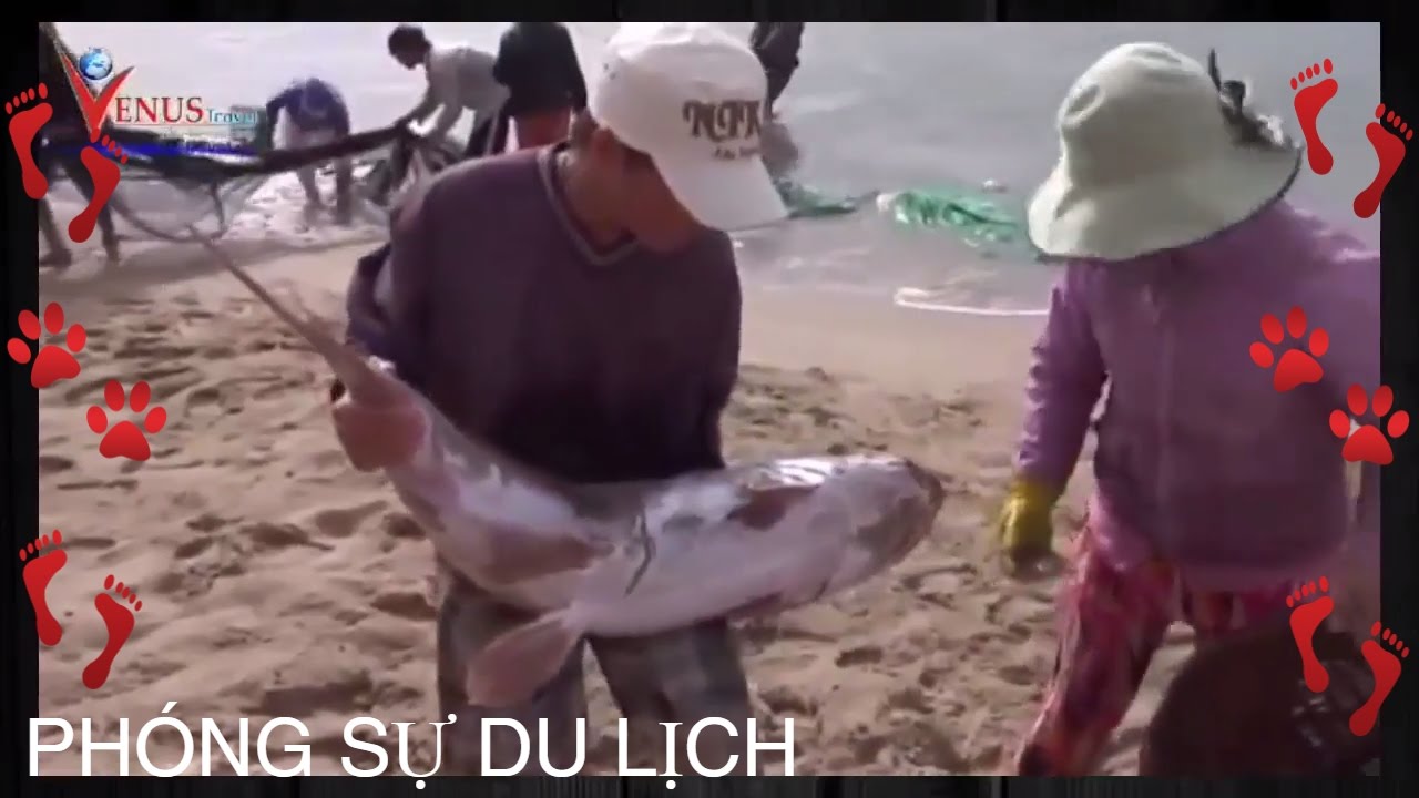 Phóng Sự | Du Lịch Phan Rang - Ngắm Tháp Chàm, ăn Nho và Hải Sản Tươi