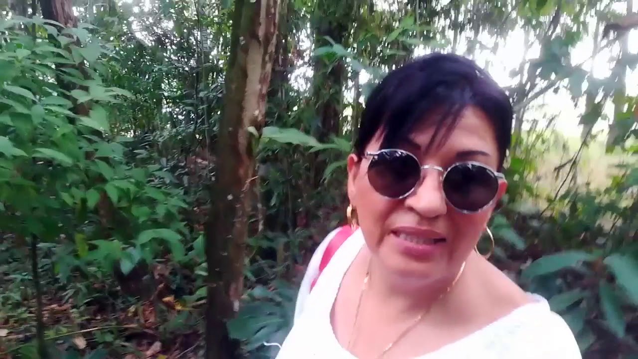 Centro Comercial con selva: La Primavera en Villavicencio