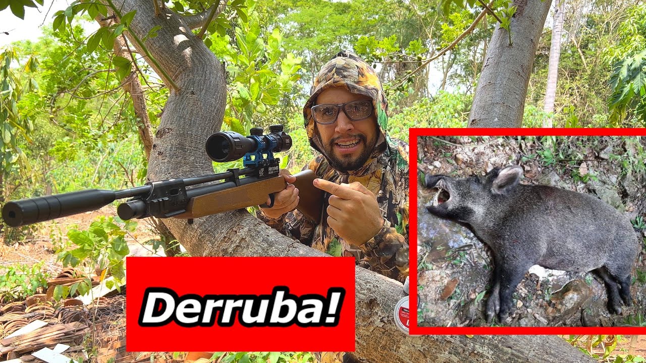 Pr900w derruba um Porco?
