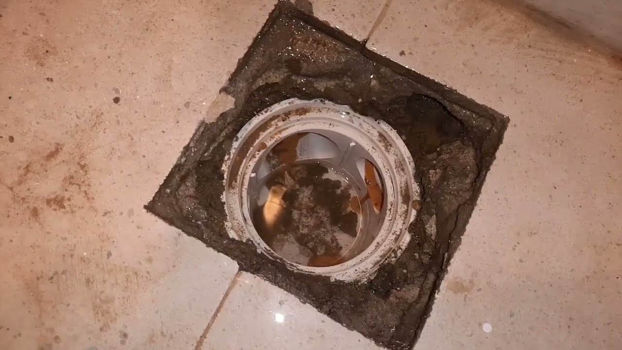 أحد الأسباب الخبيثة المتسببة في رطوبة ورشح الجدران.. إحذرها