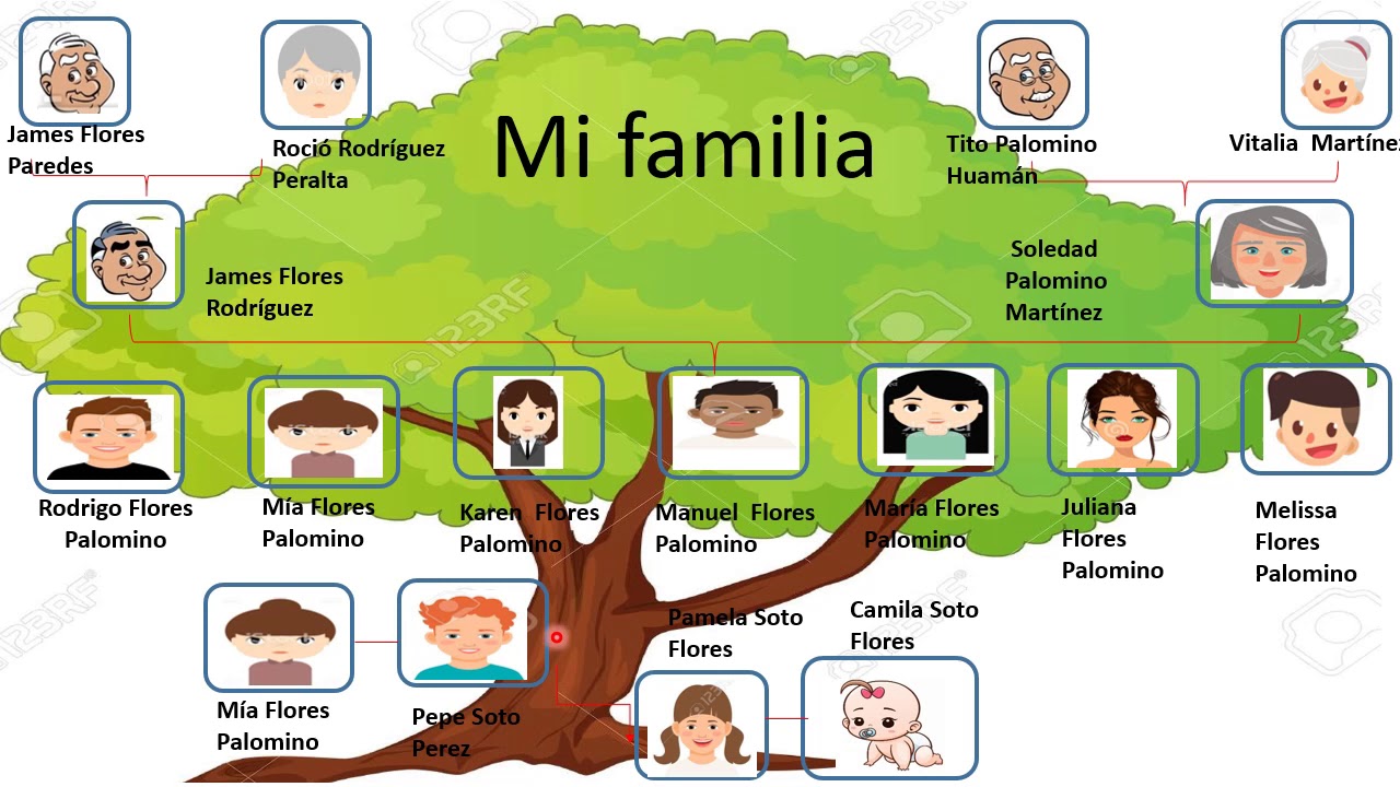 Primaria 2do    Semana 5 – Personal Social – El árbol genealógico familiar