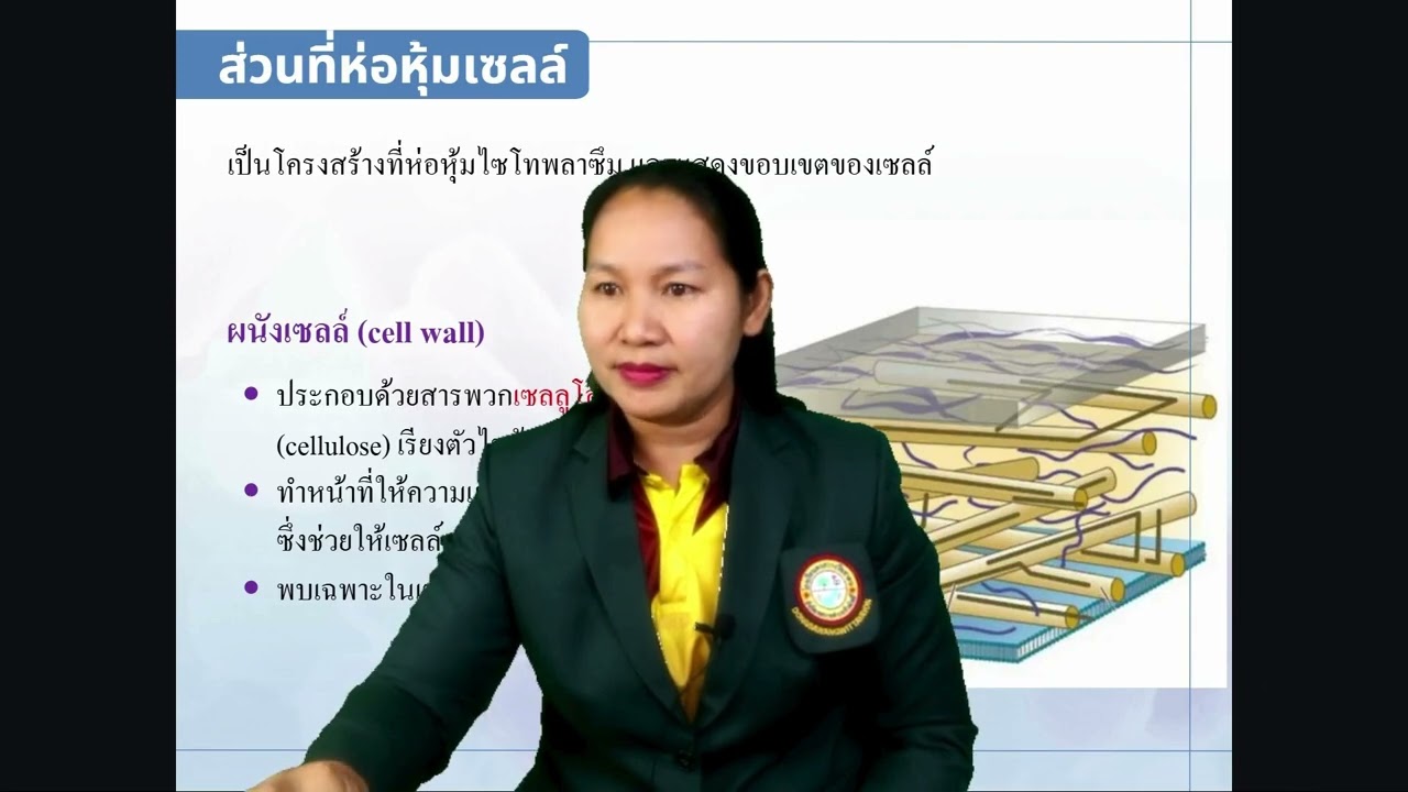การเรียนรู้วิทยาศาสตร์ โดยครูวันเพ็ญ  EP2