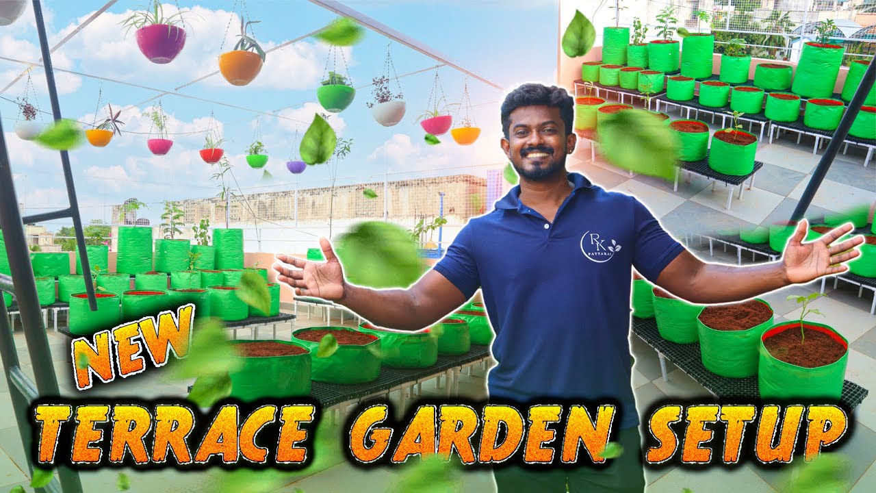 New Terrace Garden Setup 3 | புதுசா மாடித்தோட்டம் அமைக்க போறீங்களா கட்டாயம் இந்த வீடியோவை பாருங்க