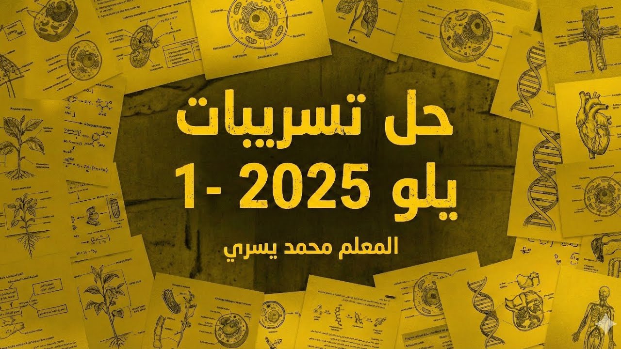 01 - حل تسريبات يلو 2025