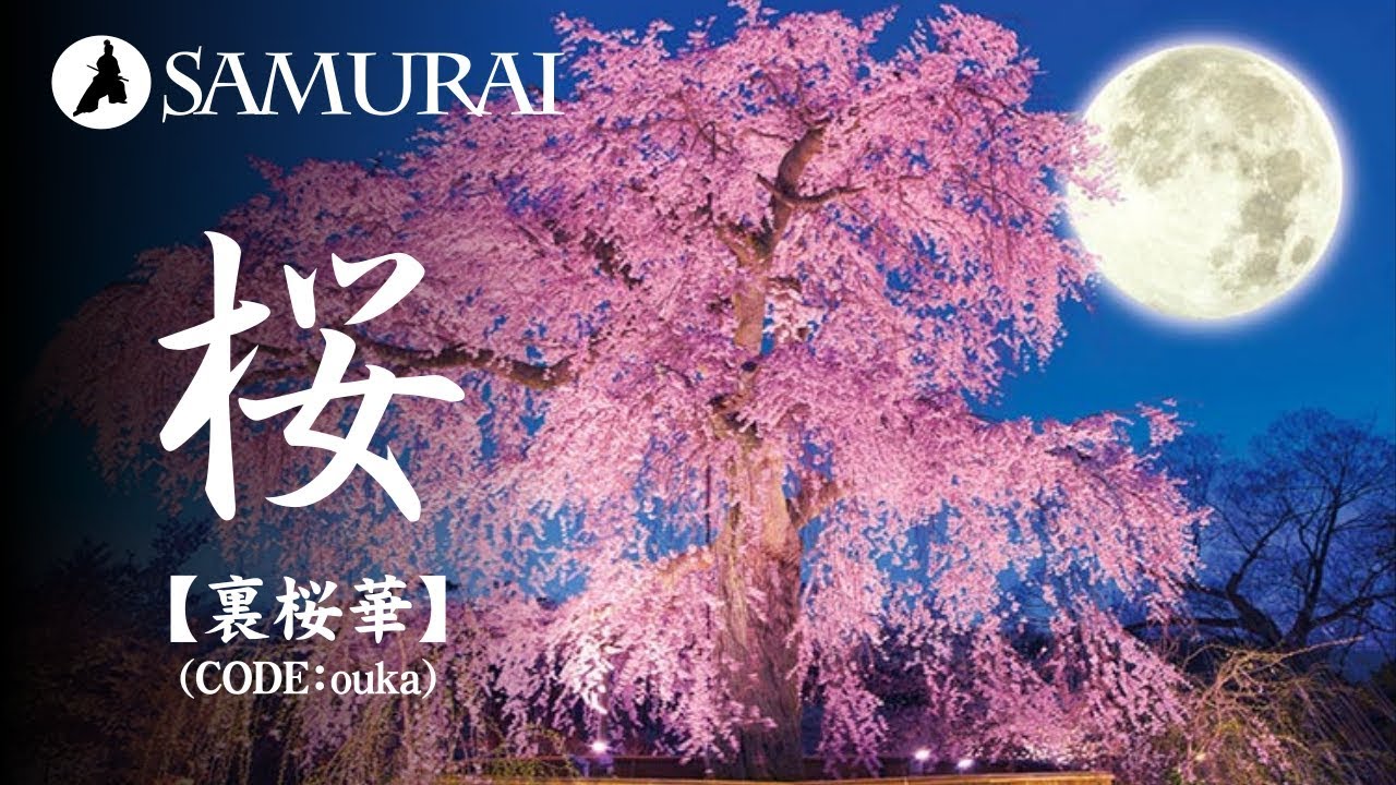 月と夜桜と和風ロックなBGM♪