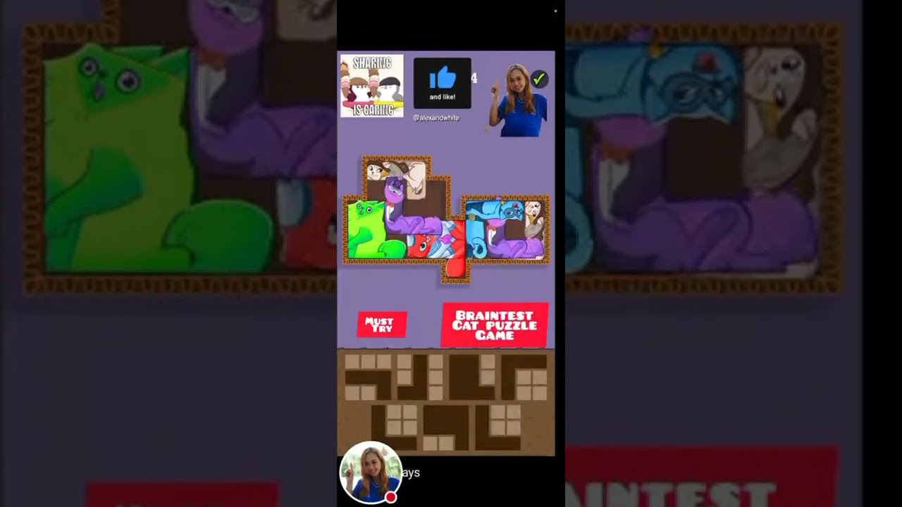 CATPLAY  PUZZLE  VIRAL #catgame#kitten#cats#viral#trending#viralgame