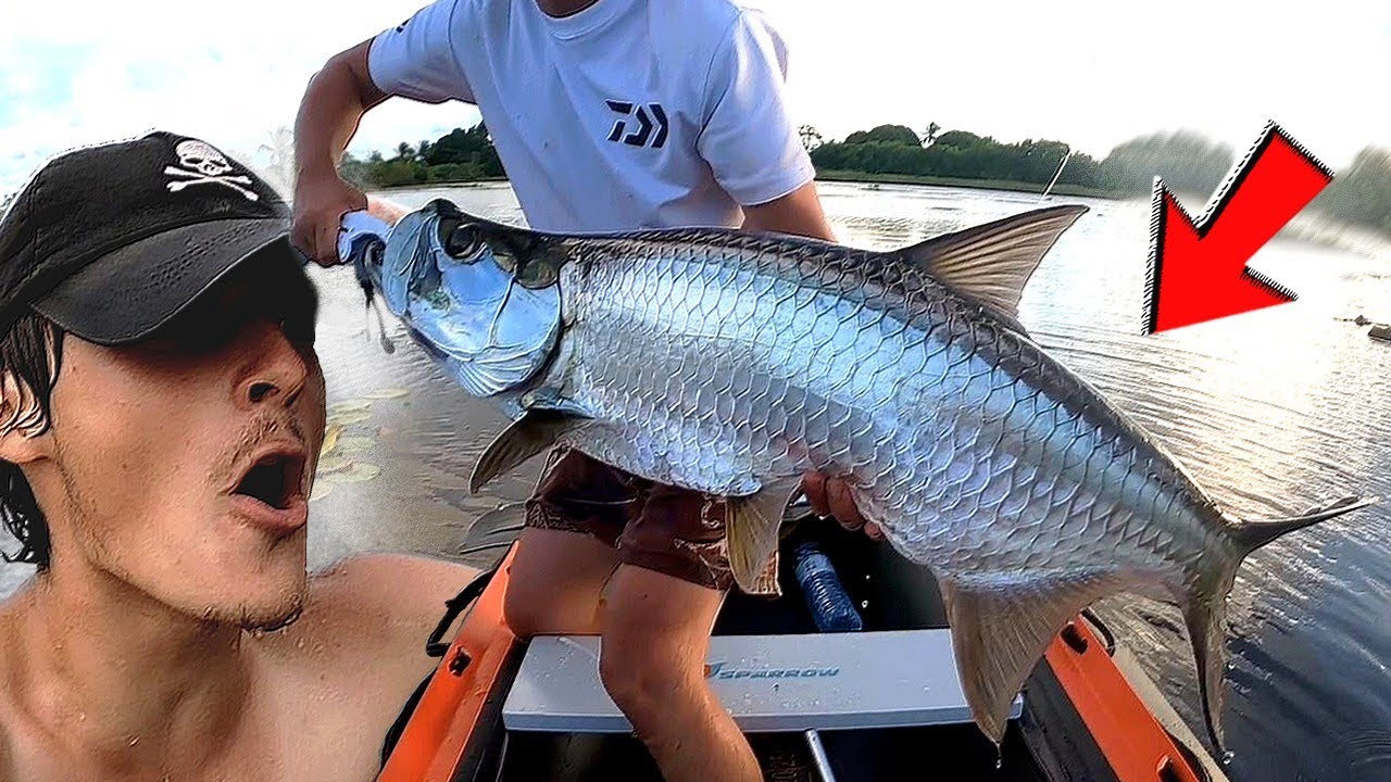 COMBAT EXTRÊME AVEC CE JEUNE TARPON !! (en kayak mais j'ai fini à l'eau)