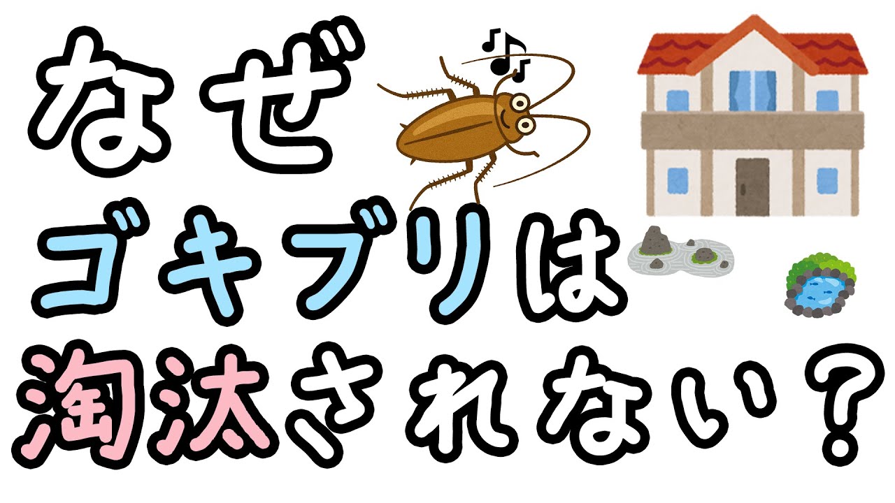 【キモすぎ】ゴキブリはなぜ3億年も生き残ってるの？【小学生でもわかる・ざっくり解説】