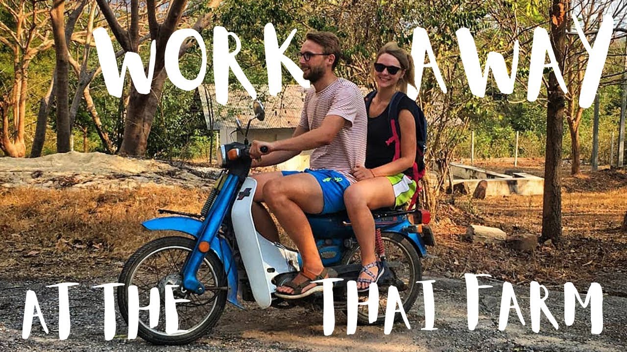 WORKAWAY in the hidden gem of THAILAND