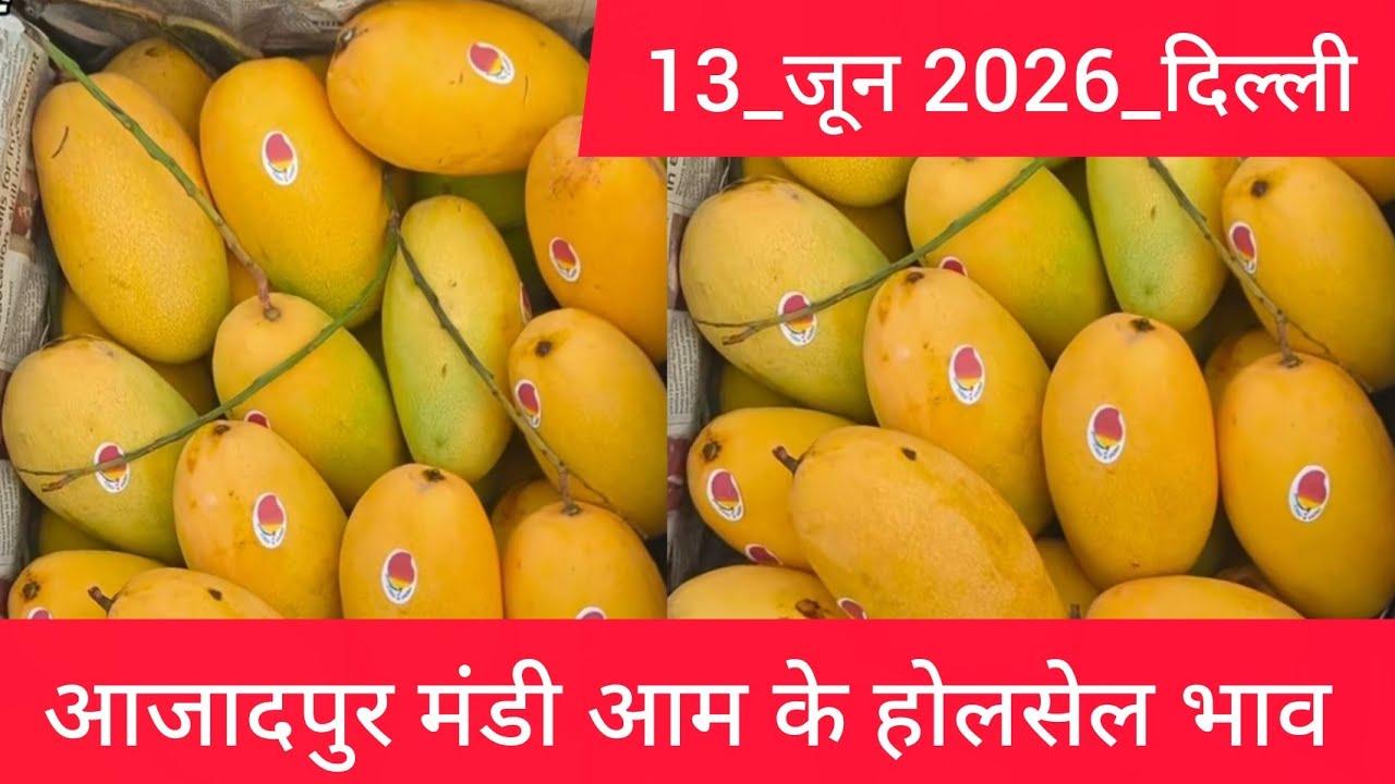 13 June 2026 दिल्ली 🥭 आम का भाव Azadpur Delhi Mandi Today Mango Market Price Aam Ka Aaj Ka Rate