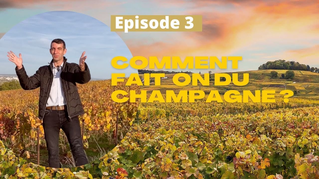 Comment fait on du champagne ?