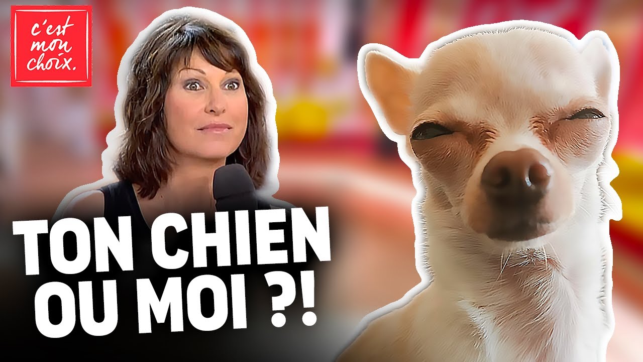 MON ANIMAL EST ROI - Je l’aime plus que tout - C’est Mon Choix