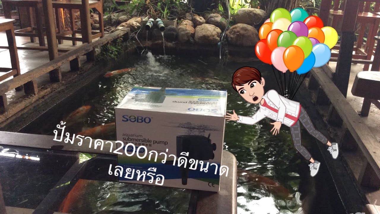 รีวิวปั้มน้ำ(ปั้มตู้ปลา) SOBO WP-4880 ดีเกินราคาถามจริงราคานี้ได้ขนาดนี้เลยหรือ