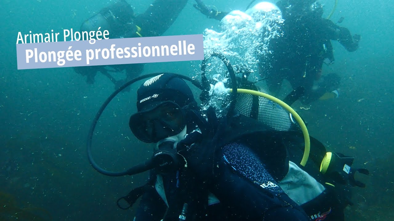 Arimair - Plong&eacute;e professionnelle