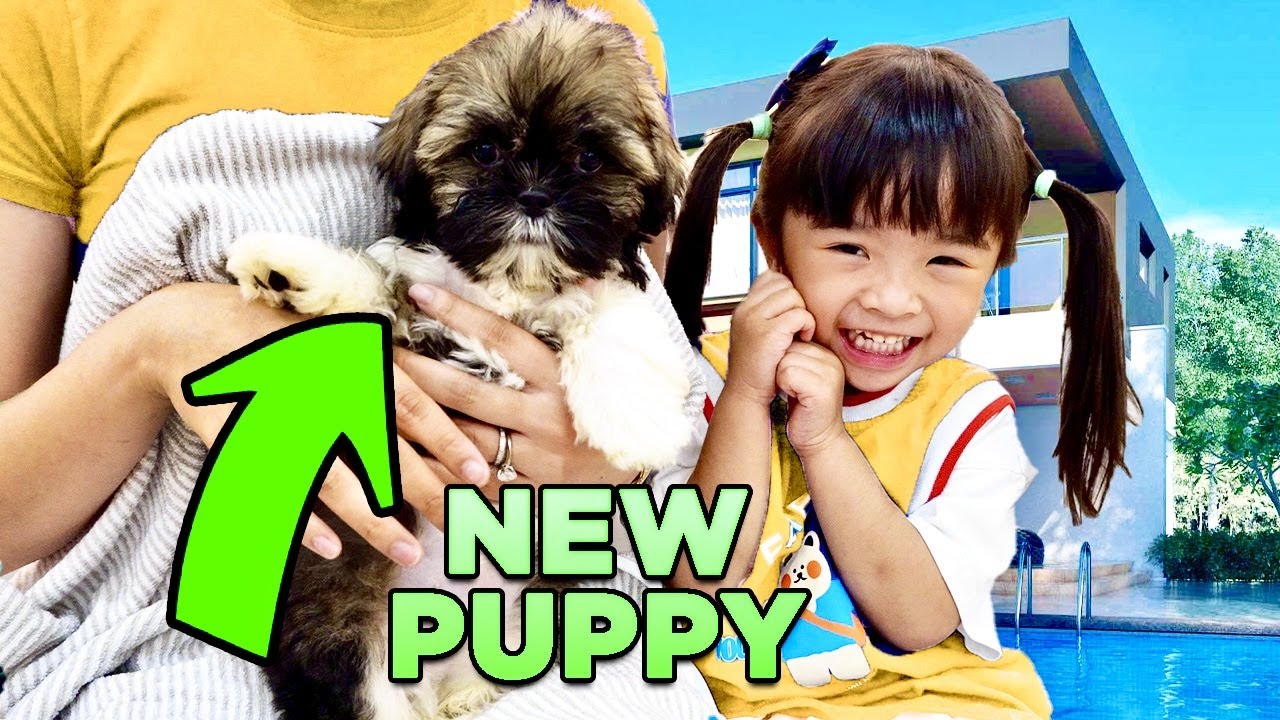 Наша дочь впервые встречает нашего нового щенка!