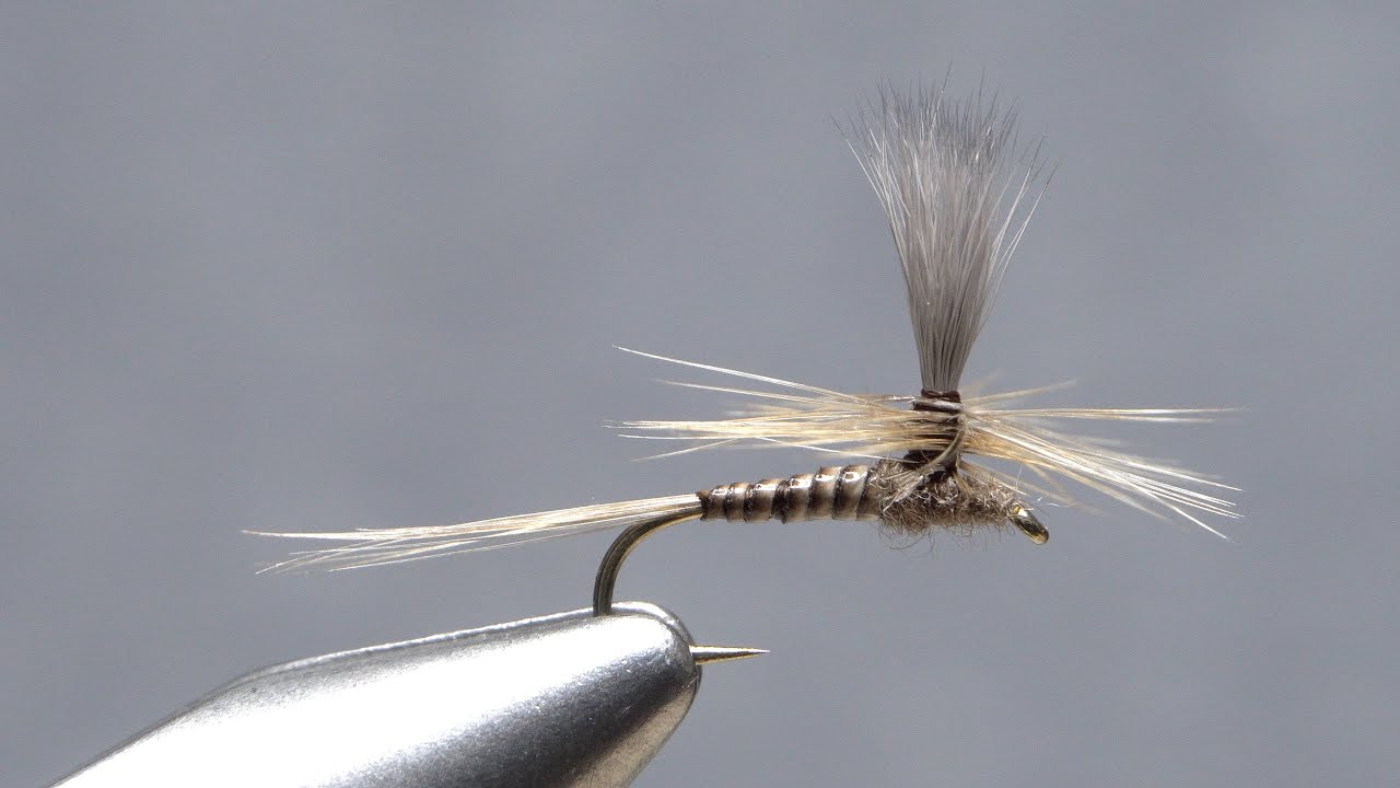 Blue Quill Parachute