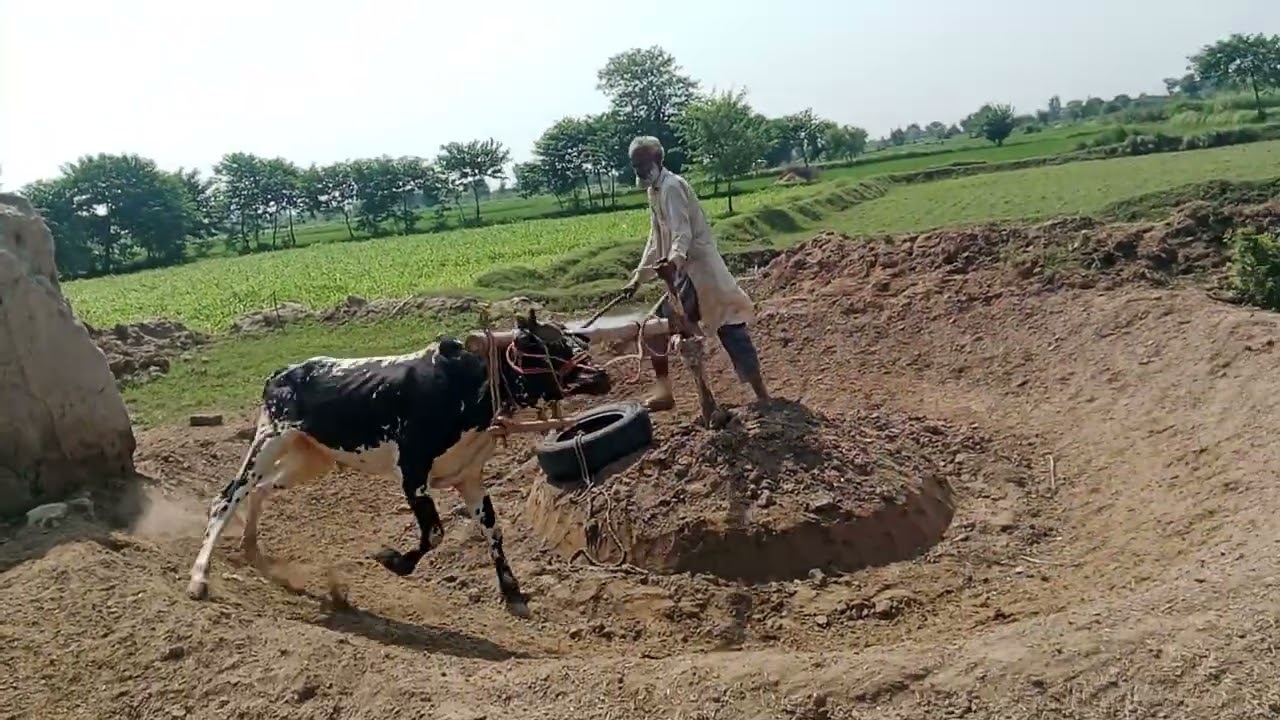 راے احمد خان دا وچھا جگنو