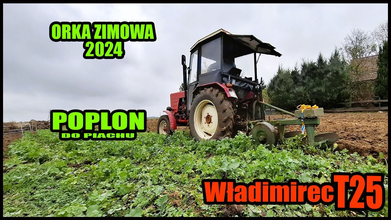 Orka Zimowa 2024 Poplon do piachu