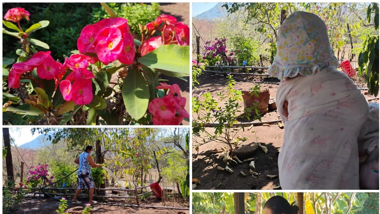 Hoy le tocó grabar a mi hija 😂🥰///Fuimos a regar sus plantitas 🌷🌷🌿