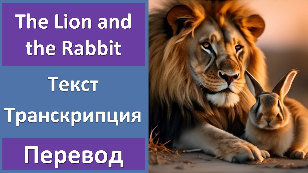 The Lion and the Rabbit - перевод и разбор текста