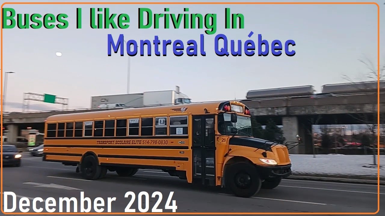 DECEMBER 2024 BUSES I LIKE IN MONTREAL QUEBEC
